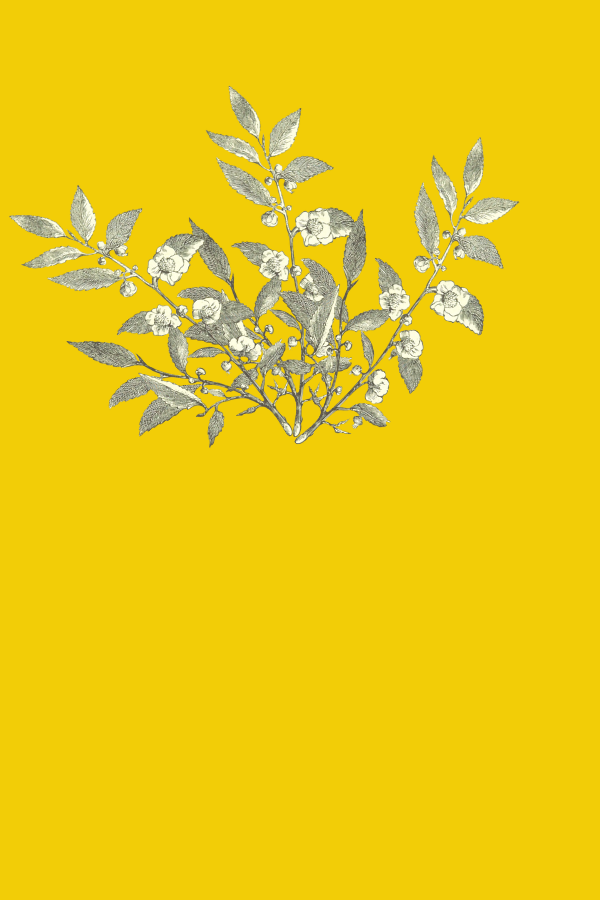 yellow aesthetic wallpaper