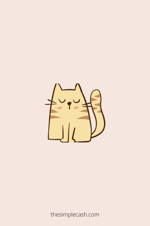 cute cat drawing