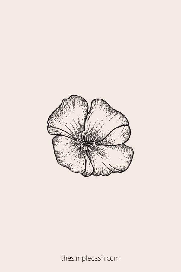 Poppy flower drawing