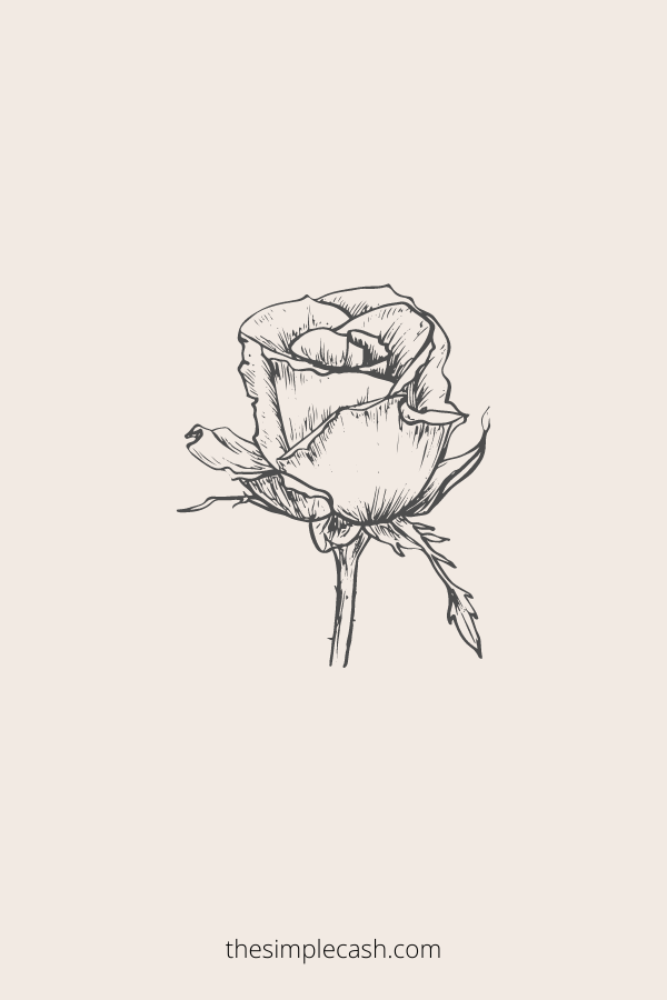 Realistic rose drawing