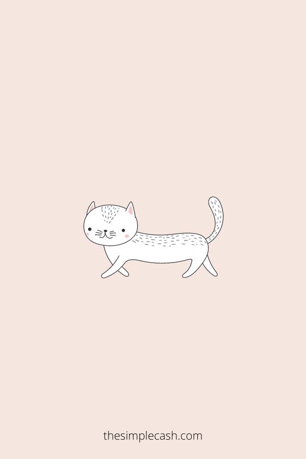 cute cat drawing