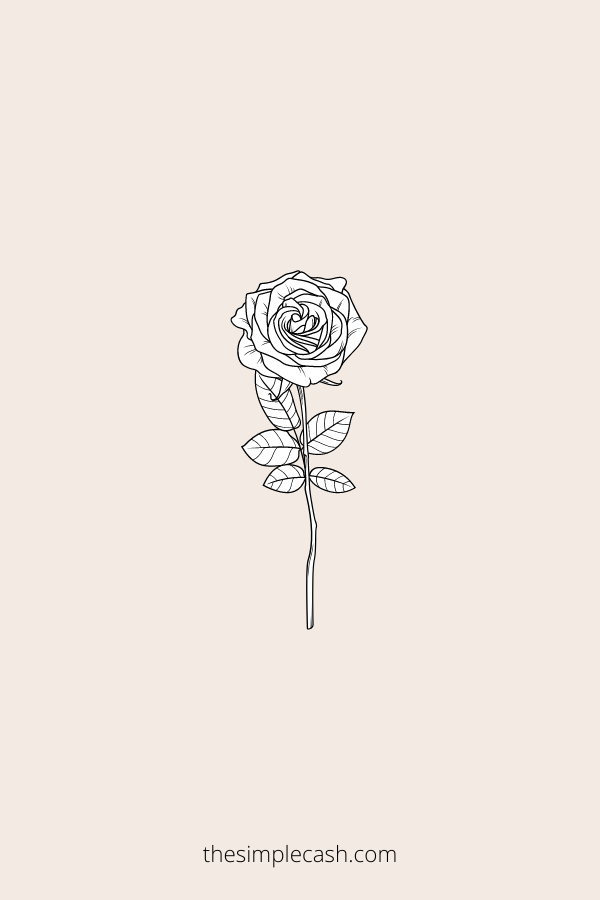 Realistic rose drawing