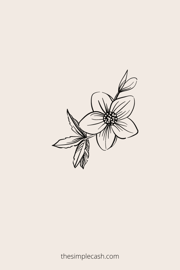 15 Easy Flower Drawing Ideas